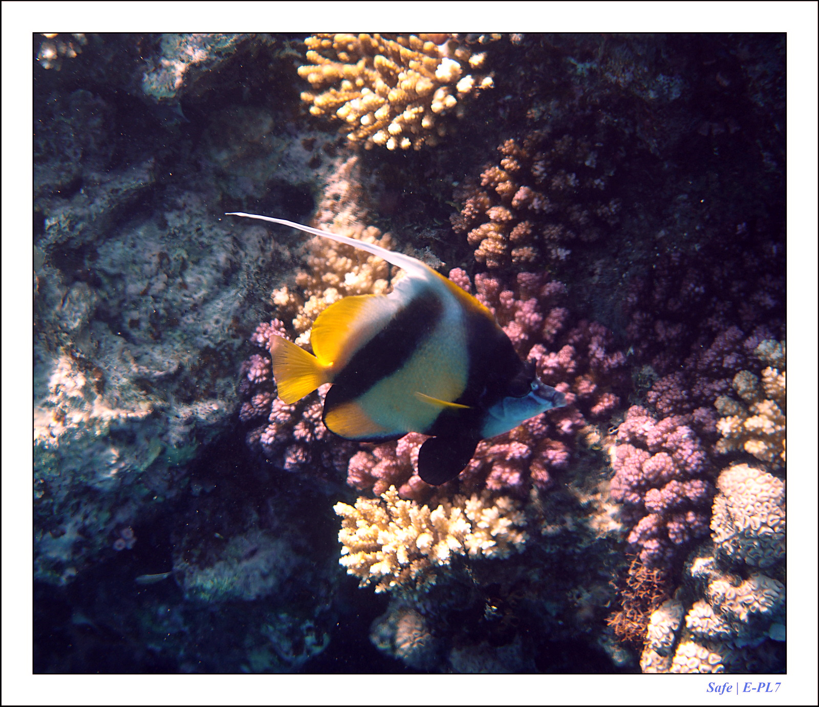 Hurghada - Juillet 2021 - 034